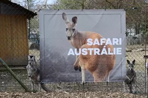 Safari Austrálie a Arktida v ZOO Olomouc