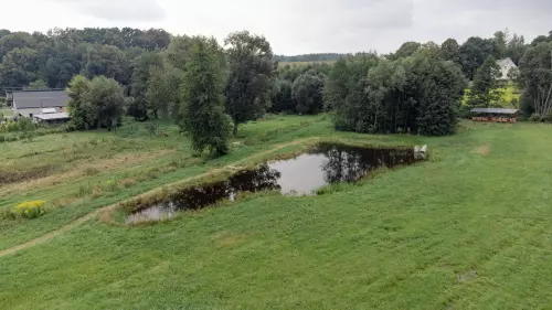 Silezika, zapsaný spolek