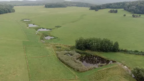 Silezika, zapsaný spolek