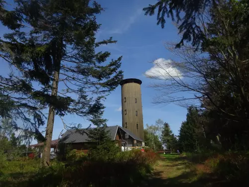 Rychlebská útulna na Borůvkové hoře