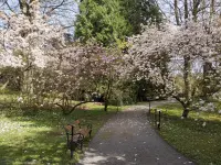 Arboretum Bílá Lhota