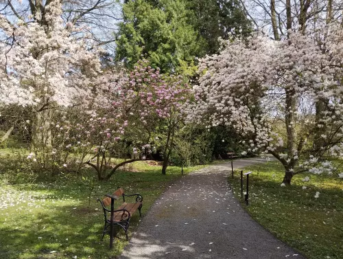 Arboretum Bílá Lhota