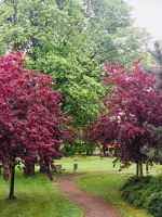Obec Dobrochov