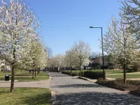 Obec Dobrochov