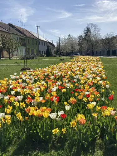 Obec Dobrochov