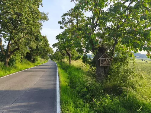 Spolek Malínské aleje, z.s.