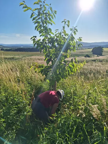 Spolek Malínské aleje, z.s.