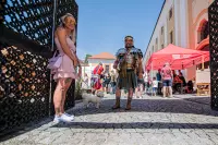 Festival vojenských kuchyní