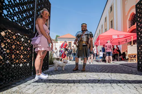 Festival vojenských kuchyní