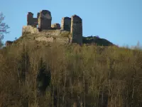 Brníčko