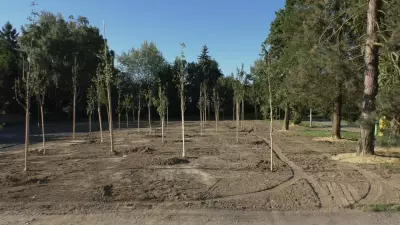 Město Hranice