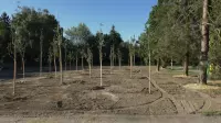 Město Hranice