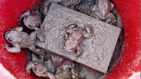 Střední škola zemědělská, Přerov