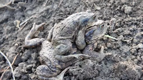 Střední škola zemědělská, Přerov