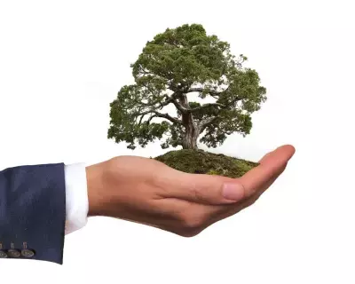 SPOLEČENSKÁ ODPOVĚDNOST