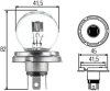ZAR R2 45/40W 6V P45T 8GD002088-071