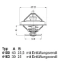 termostat MAN,IVECO ESt. 80°C 4150.79D50