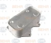 OLEJOVY CHLADIC AUDI A6/A8,VW PHAETON 8MO376701-494