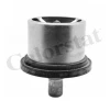 termostat DAF 95/MAN/MB/RVI/VOLVO 79°C THCT19094.80