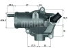 termostat MB TH1187