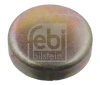 zátka mrazová velká DAF D-45mm 07295