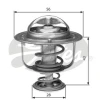 termostat RVI Mascott 71°C TH31271G1