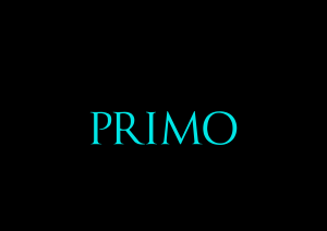 Primo group s.r.o.