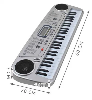 APT AG278 Elektronické klávesy s mikrofónom, 54 kláves strieborná