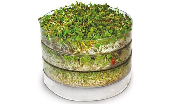 ISO 6255 Bio Natura klíčící biomiska