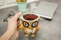 Master Hrnček Sova 340ml modrá