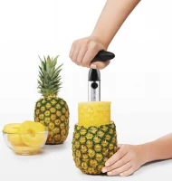 GFT Vykrajovač ananasu