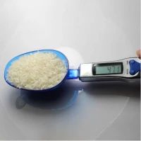 GFT Lyžicový váha 500g