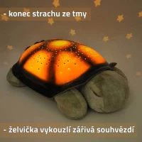 GFT Noční svítící želvička hnědá