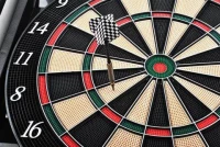 W.M Dart 16 hráčů