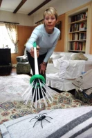 Kemis Lapač pavouků Spider Catcher