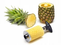 Verk Vykrajovač ananásu