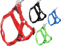 Dog ISO Postroj Basic