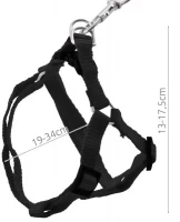 Dog ISO Postroj Basic