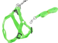 Dog ISO Postroj Basic
