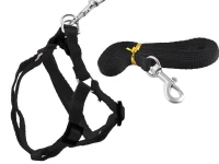 Dog ISO Postroj Basic