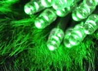 ISO Vánoční řetěz na baterie 20 LED zelená délka 3m 