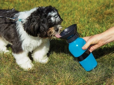 Verk Cestovní láhev pro psy s miskou 500 ml modrá