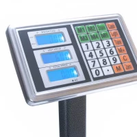 GT Mostíková digitálna váha do 300kg