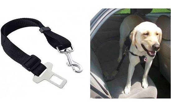 ISO Bezpečnostní Pás pro psa do Auta 25mm x 44- 70cm