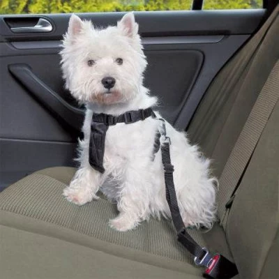 ISO Bezpečnostní Pás pro psa do Auta 25mm x 44- 70cm