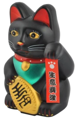 ISO Čínská kočka černá