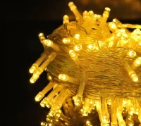 ISO Vánoční osvětlení 100 LED teplá bílá 30V