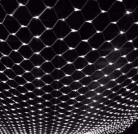 ISO 11341 Vianočný LED svetelná sieť - 260 x 200 cm, 160 diód, studená biela