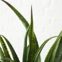 Boltze Dekorativní umělá rostlina v květináči Agave, Aloe vera 1ks