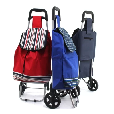 Pronett XJ3204 Nákupní taška na kolečkách 40 L color